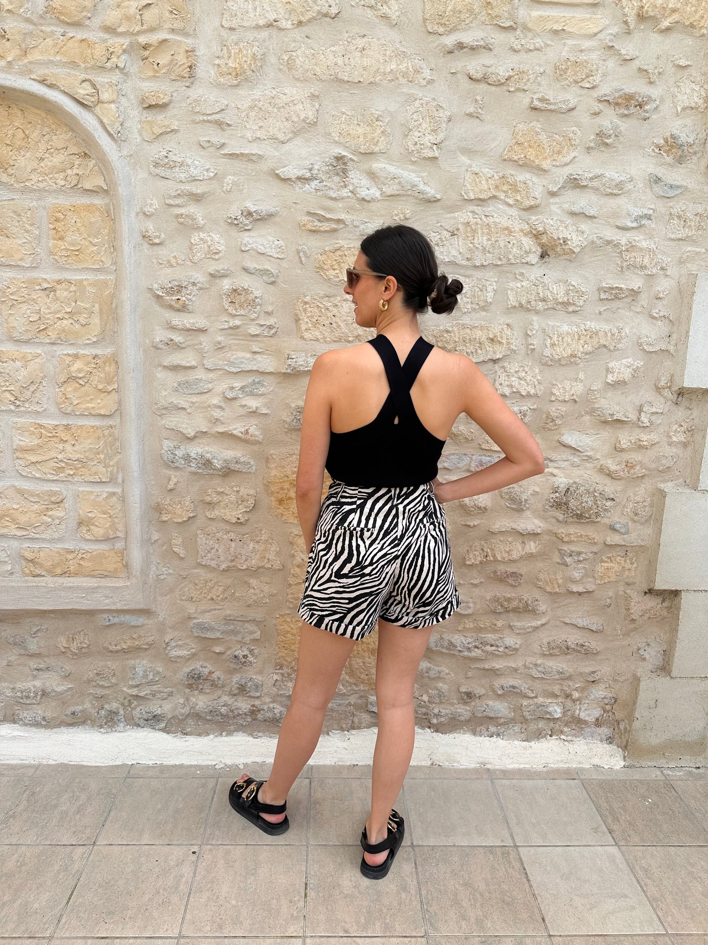 Short Zebra