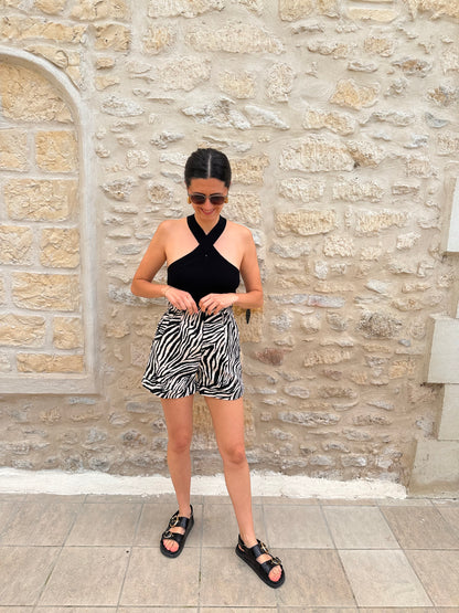 Short Zebra